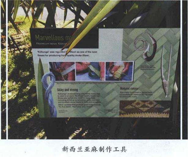 新西兰居家花园都有哪些植物