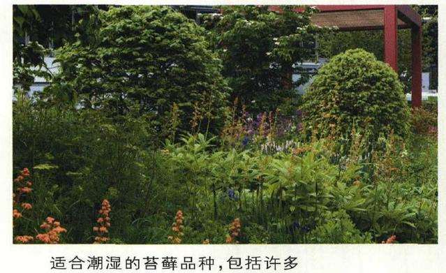 2019 切尔西花卉展中5个花园