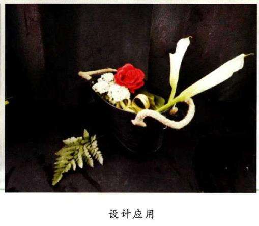 插花中花材环保