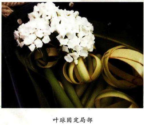 插花中花材环保
