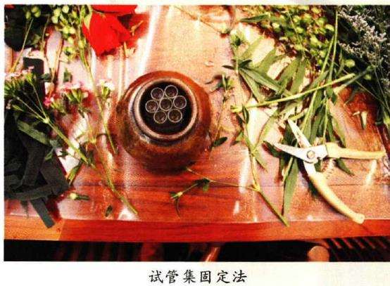 插花中花材环保