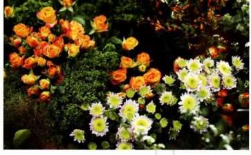 2019年湖北银龙水务员工花艺创作活动