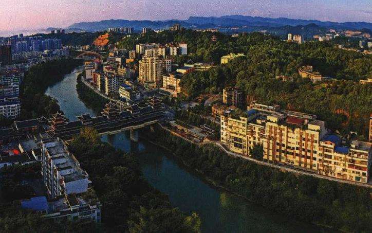 园林城市化背景下对苗木的5个需求