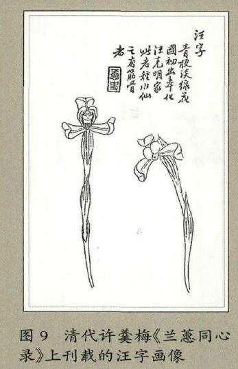 水仙瓣花的3个入品标准及评判 图片