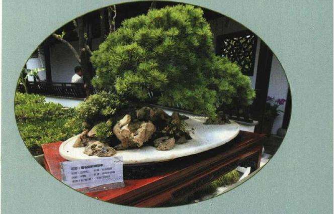 为什么亭堂榭坊是苏派园林标志性建筑