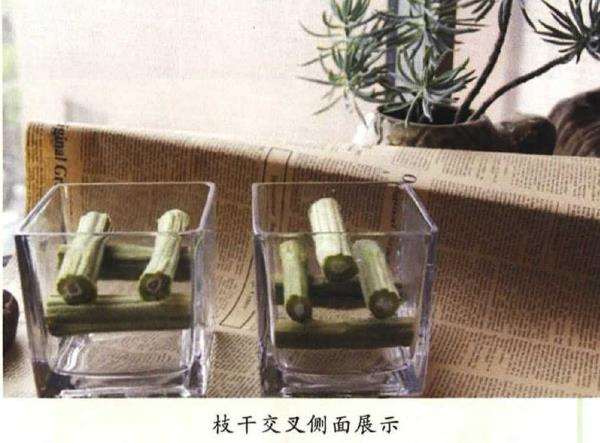 插花中花材环保怎么固定的3个方法