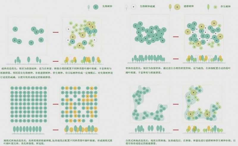 林地保护怎么修复