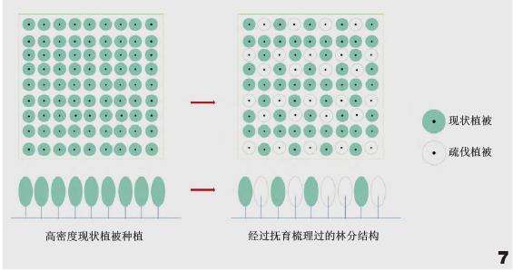 林地保护怎么修复的3个模式与措施