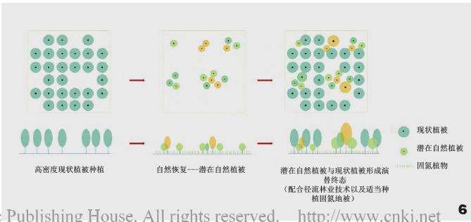 林地保护怎么修复