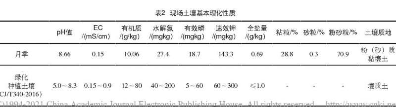 月季花怎么栽培养护的3个步骤 图片
