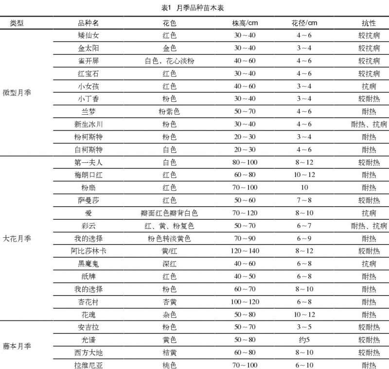 月季花怎么植物配置的2个方法 图片
