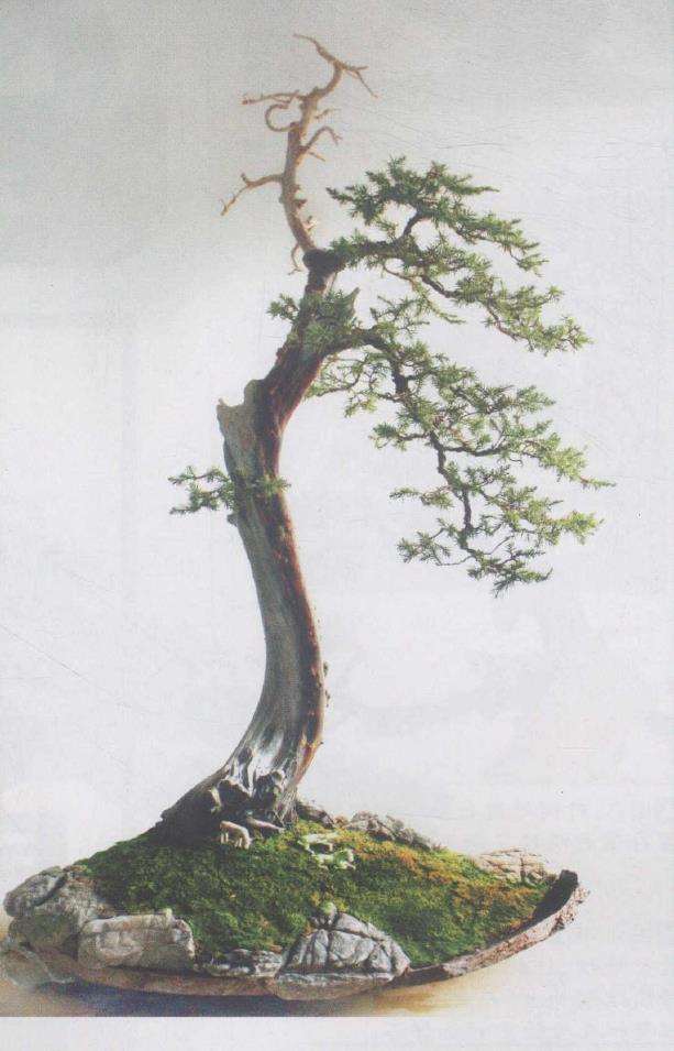 制作完成正面效果