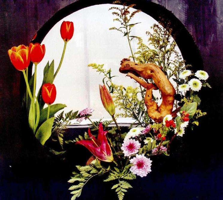 2019 南京迎春插花展 图片