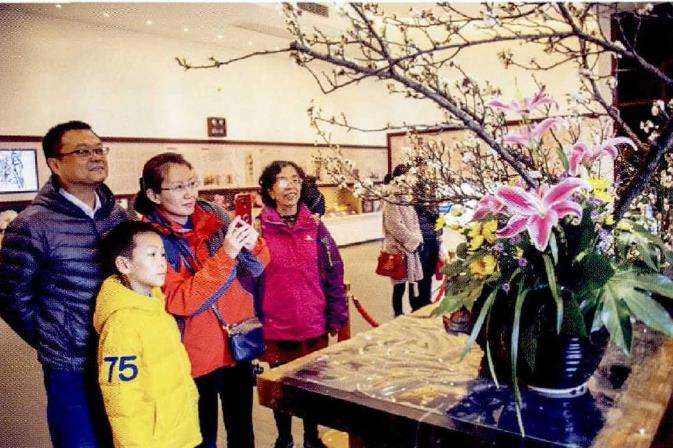 2019 南京迎春插花展 图片