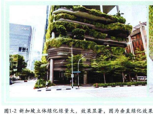 新加坡园林工程的13个过程