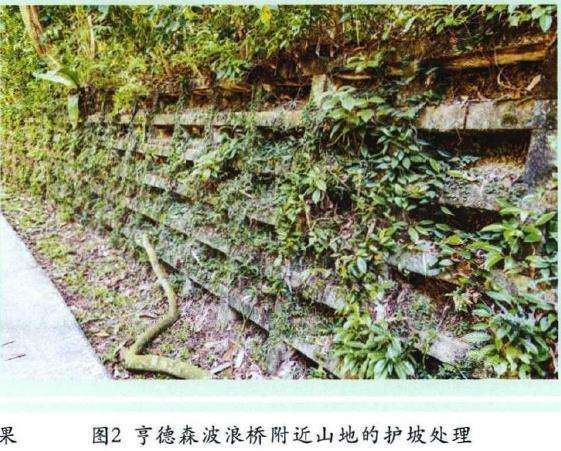 新加坡园林工程的13个过程