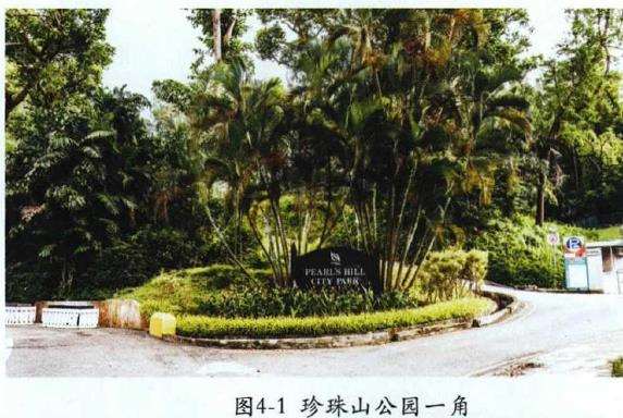 新加坡园林工程的13个过程
