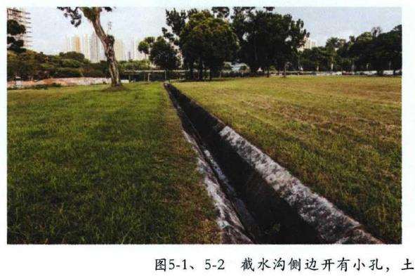 新加坡园林工程的13个过程