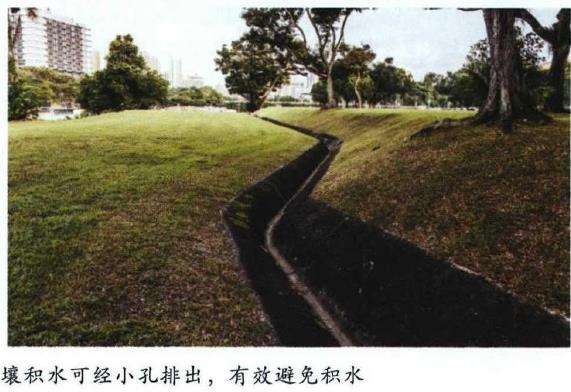 新加坡园林工程的13个过程