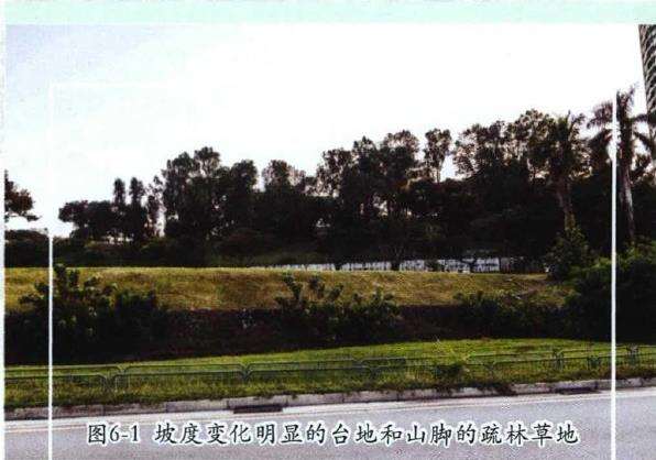 新加坡园林工程的13个过程