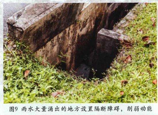 新加坡园林工程的13个过程