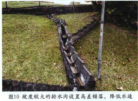 新加坡园林工程的13个过程