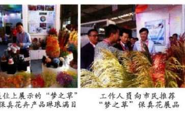 东北保真花博览会在吉林长春开幕