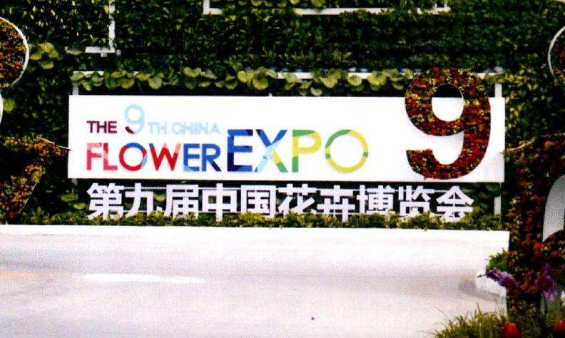 记第九届中国银川花卉博览会 图片