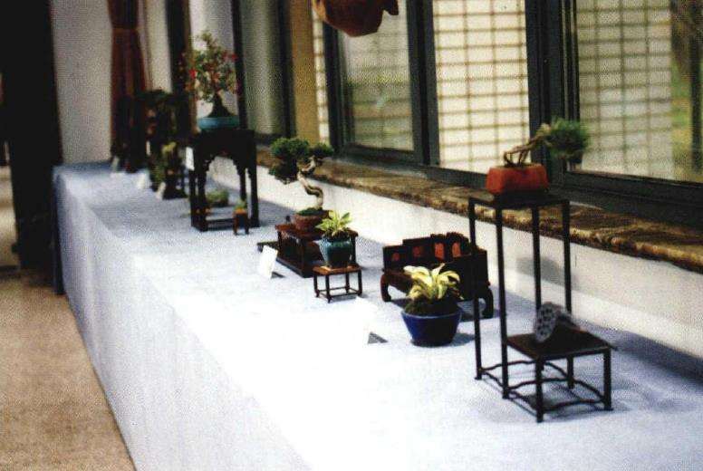 2017上海植物园秋季花展