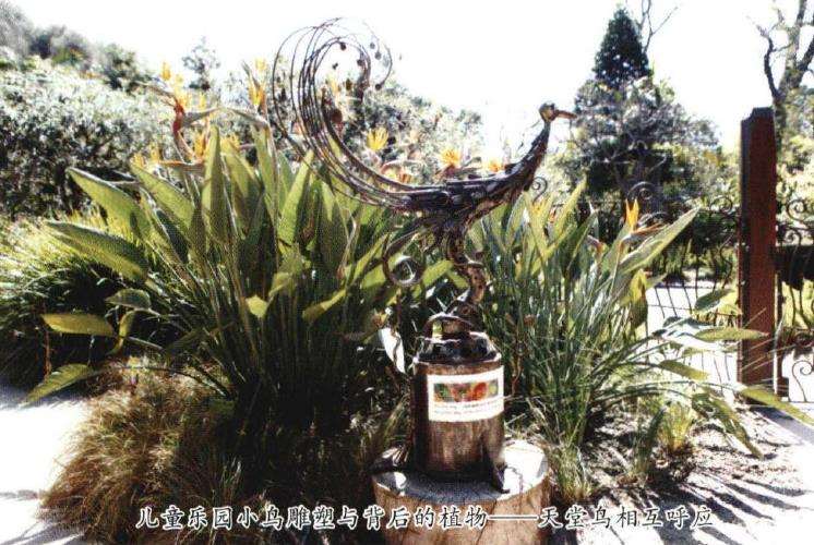 访问墨尔本皇家植物园