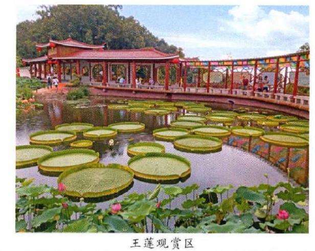 第29届莲花旅游文化节开幕 图片
