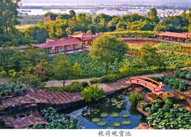 第29届莲花旅游文化节开幕 图片
