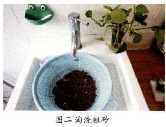 怎么水培睡莲的3个步骤