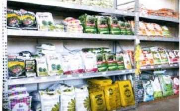 访问新西兰的花店 中 图片