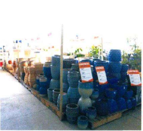 访问新西兰的花店 中 图片