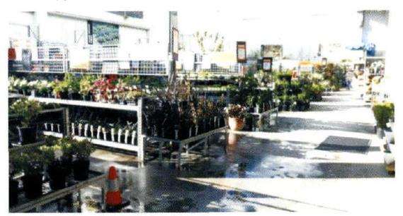 访问新西兰的花店 中 图片