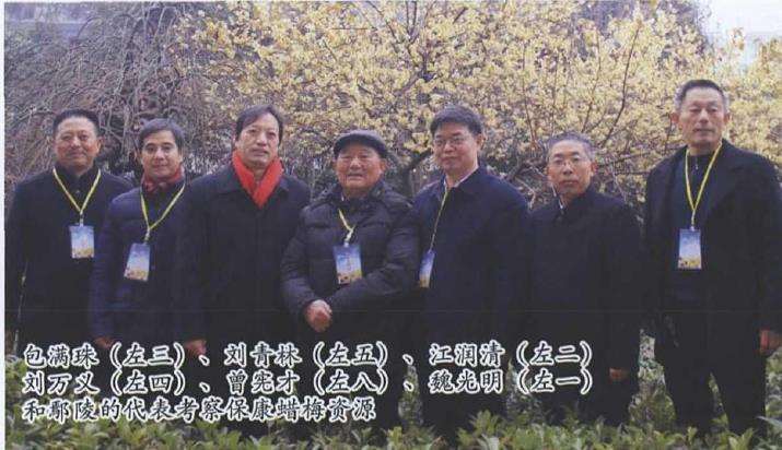 湖北保康蜡梅保护利用开发论证会