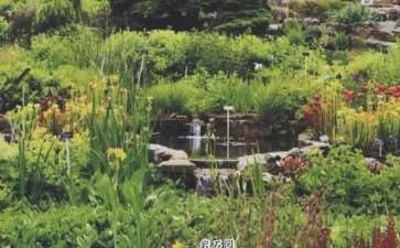 伦敦西郊的萨里郡的威斯丽花园 图片