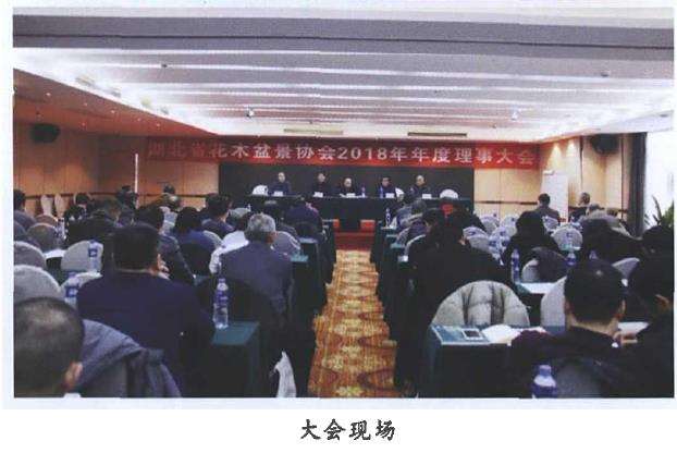 湖北省花木盆景年度理事大会