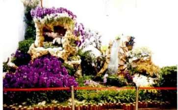 2017年 第九届中国花卉博览会 图片