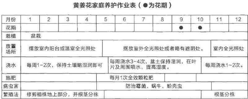 黄姜花春季怎么养护