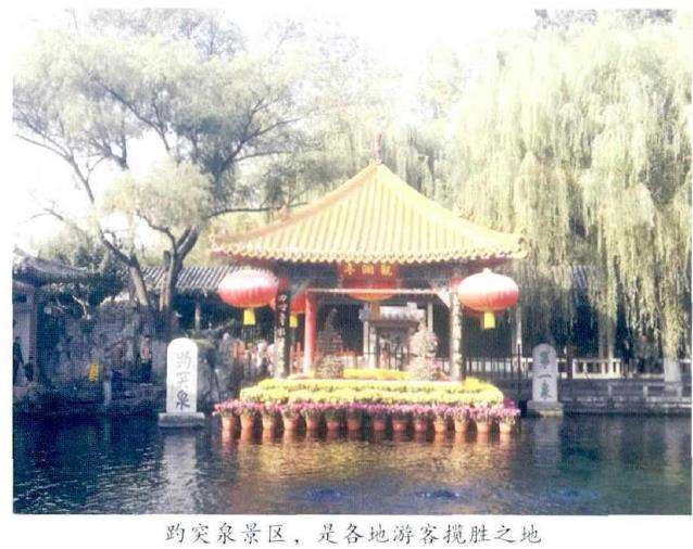 济南展出菊花精品3000余盆