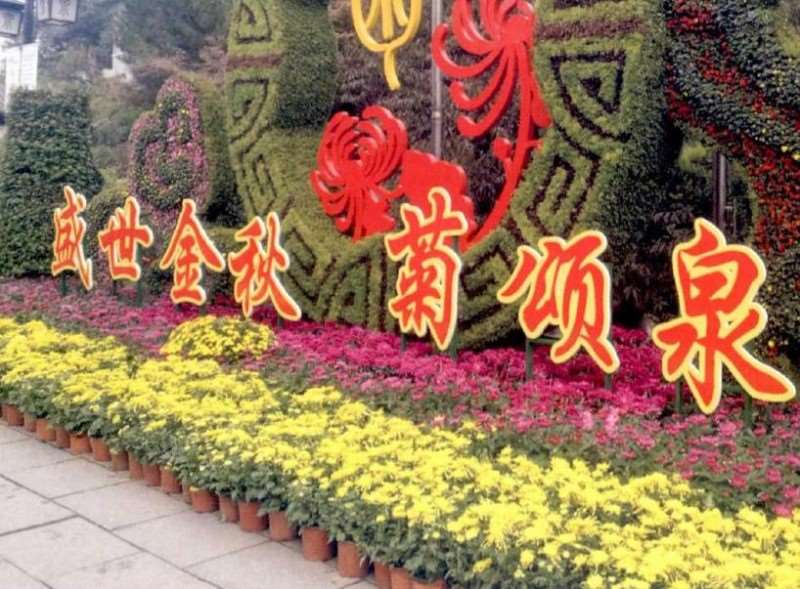 济南展出菊花精品3000余盆