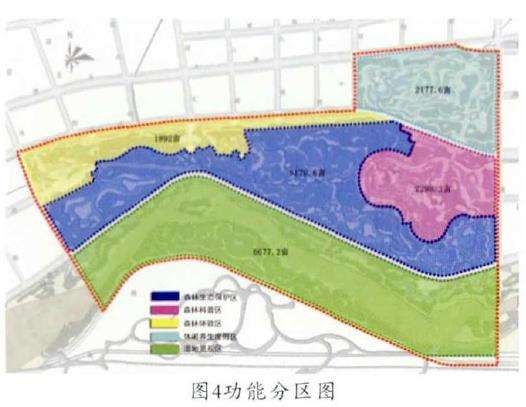 休闲森林公园的规划布局与功能分区    