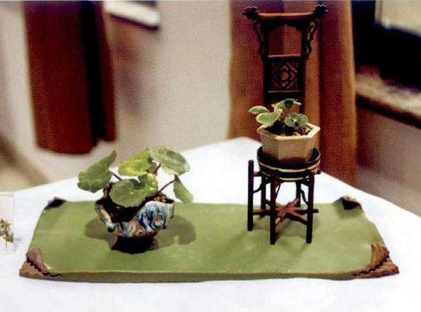 山野草怎么温度处理