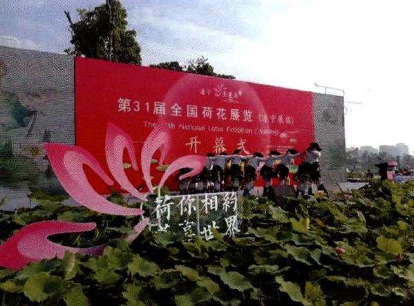 昆明荷花展 四大亮点的展现