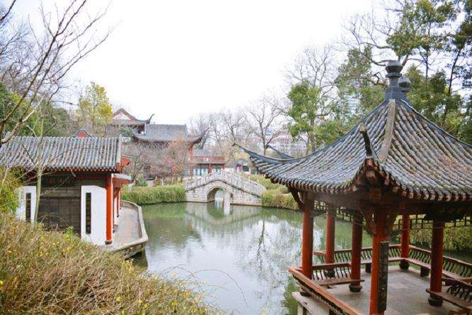 荆门休闲观光林业怎么发展的4个现状