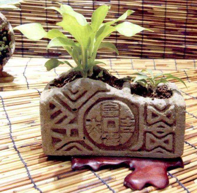 澳大利亚国家植物园 图片