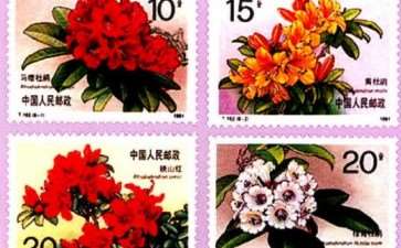 中国花卉邮票有哪些 图片