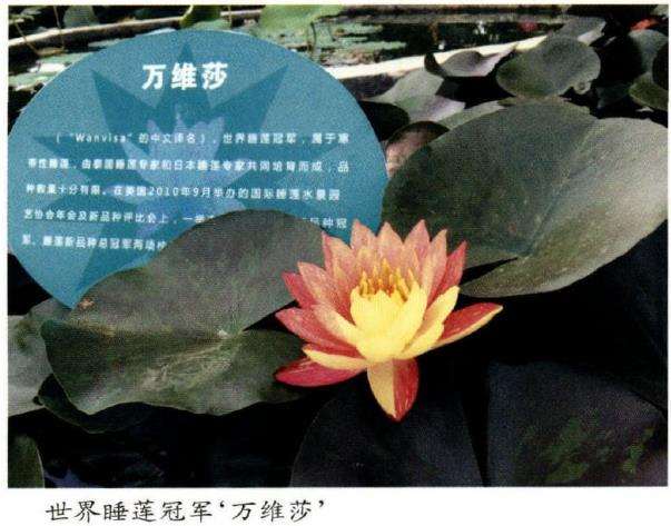 蚌埠市第三届荷花节